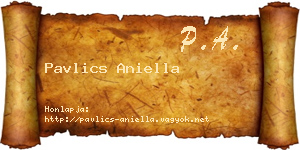 Pavlics Aniella névjegykártya